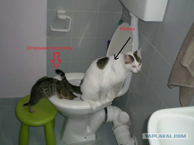 Ответ для BILD