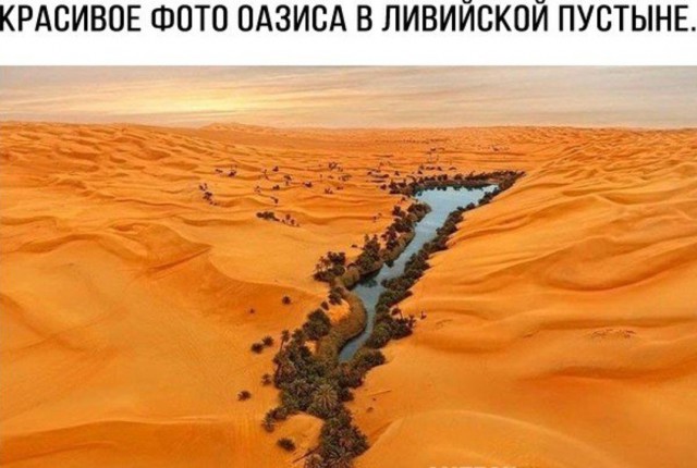 Всякие разные картинки