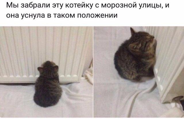 Картинки. Местами смешные.