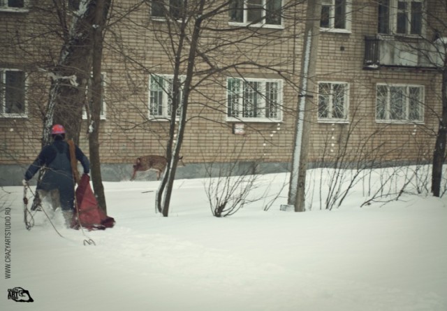 Приключения "Бемби" в Ярославле
