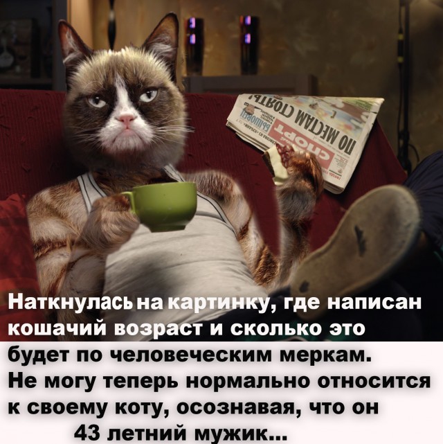 Подборка интересных и веселых картинок 03.10.18