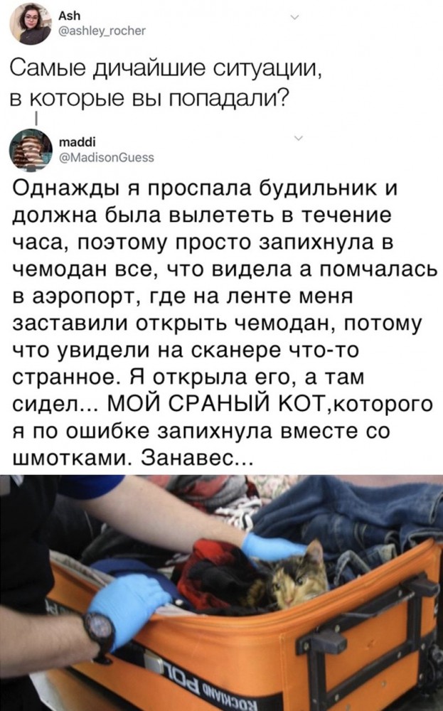 Картинки с надписями,истории и анекдоты