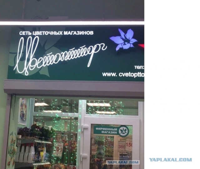 Бредзона