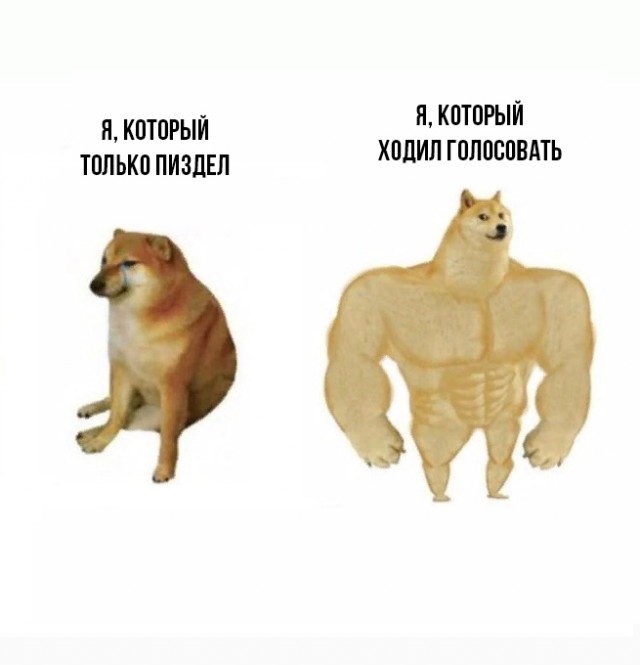 Голосуй или…