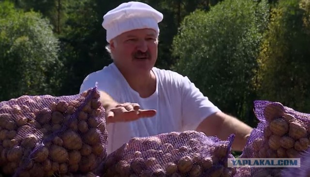 Суздальцев: "Лукашенко уйдет в течении 48 часов"