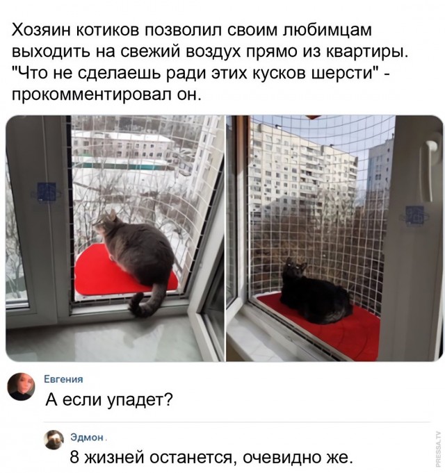 Картинки и мемы для настроения 022