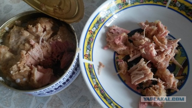 Говядина тушеная, высший сорт... Все по ГОСТу, но где же мясо?