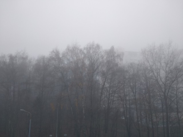 Туман в Москве