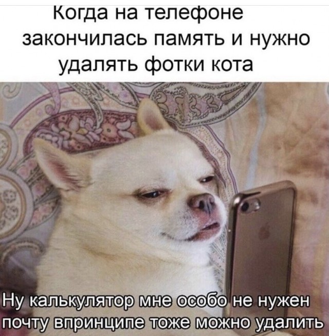 Картинки и мемы, всем прекрасных выходных