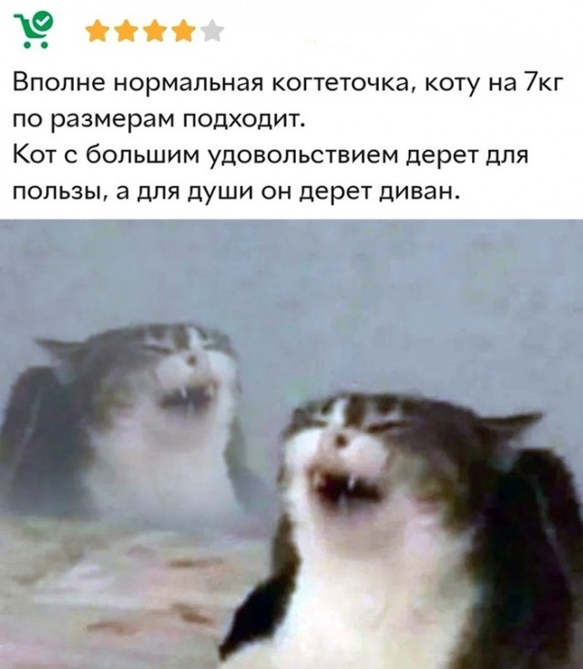 Картинки и мемы для настроения