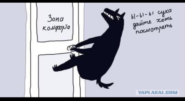 Лавров предложил не переживать из-за нового «железного занавеса»