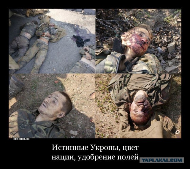 Силовики ЛНР нашли места массового убийства жителей около Попаснянской железной дороги