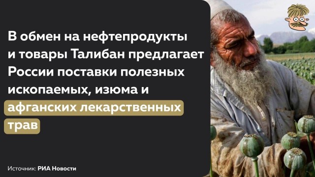 Пандемия съехавших крыш - разновидности болезни. Россия и мир. Часть 40.