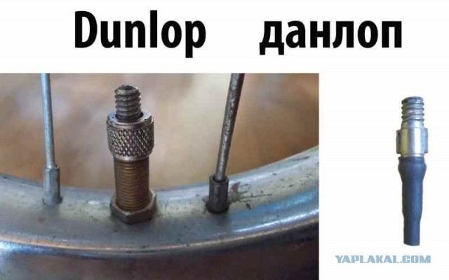 Привет из прошлого