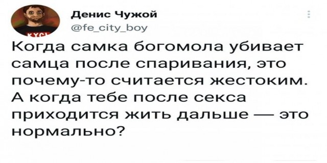 Картинки и мемы для настроения - 21