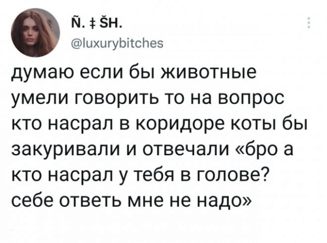 Баянисто-небаянистый юмор 24.10.22