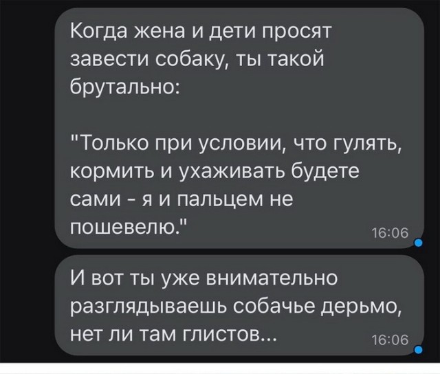Скриншоты и комментарии из социальных сетей 03.12.22