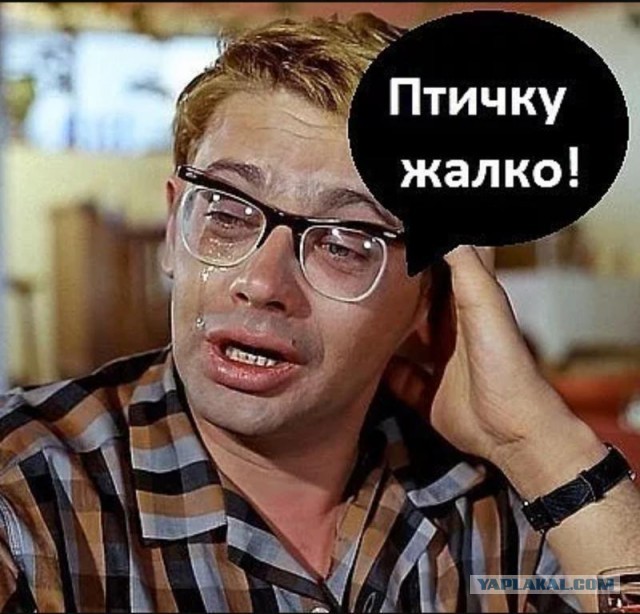 Самая грустная песня на Земле…
