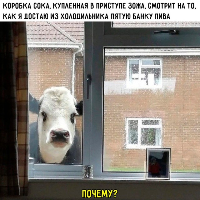 Весёлый полтишок 11.01.23