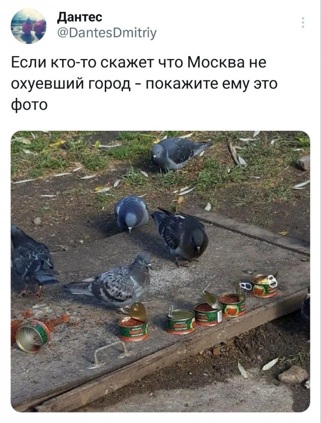 Фиг с ними с голубями, куда ведёт эта дверь?!