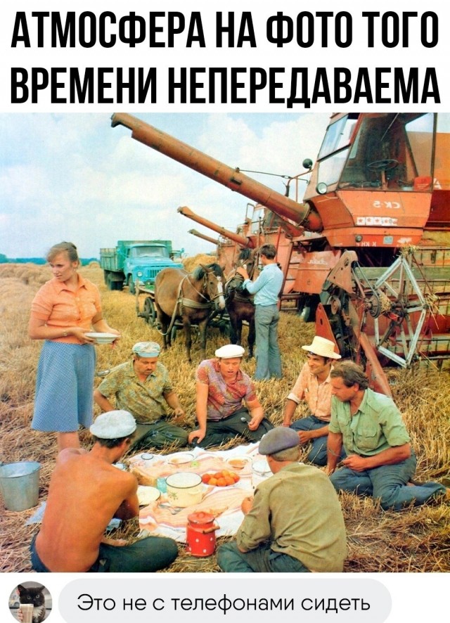Весёлый полтишок 27.07.23