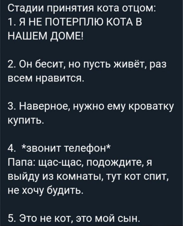На святое покусилась⁠⁠
