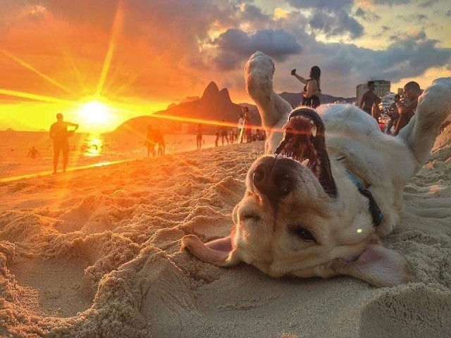 ФотоВинегрет