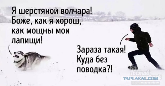 «Солдат ведь ещё нужно успеть подготовить, пока не начался полномасштабный конфликт»
