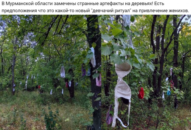 Начали появляться первые новогодние гирлянды