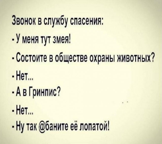 Веселые картинки к понедельнику (16.12)