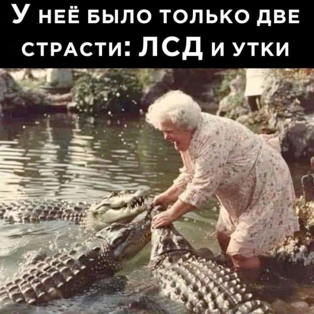 Так себе картинки 31.01.25