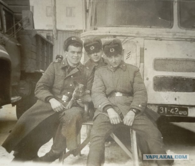 Гимнастёрка: почему в СССР так называли военную форму?