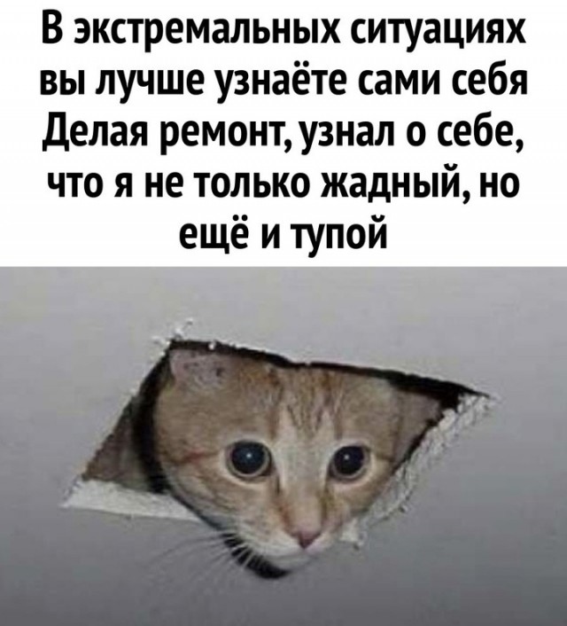Весёлый полтишок 27.02.2025