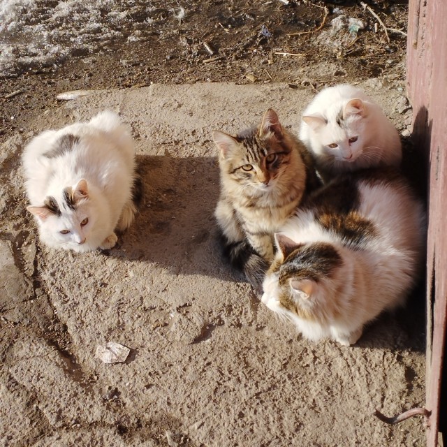 Вторник бойцов невидимого фронта