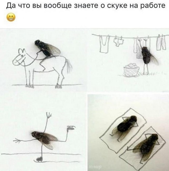 Веселые картинки в понедельник 28.04