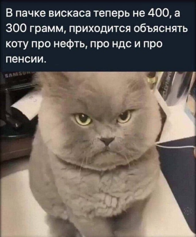 К котовторнику: подборка картинок-баянов с котиками и про котиков. Выпуск 9