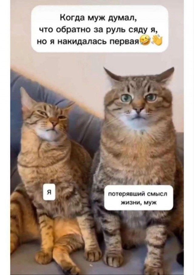 Маленькая пятница 25.06
