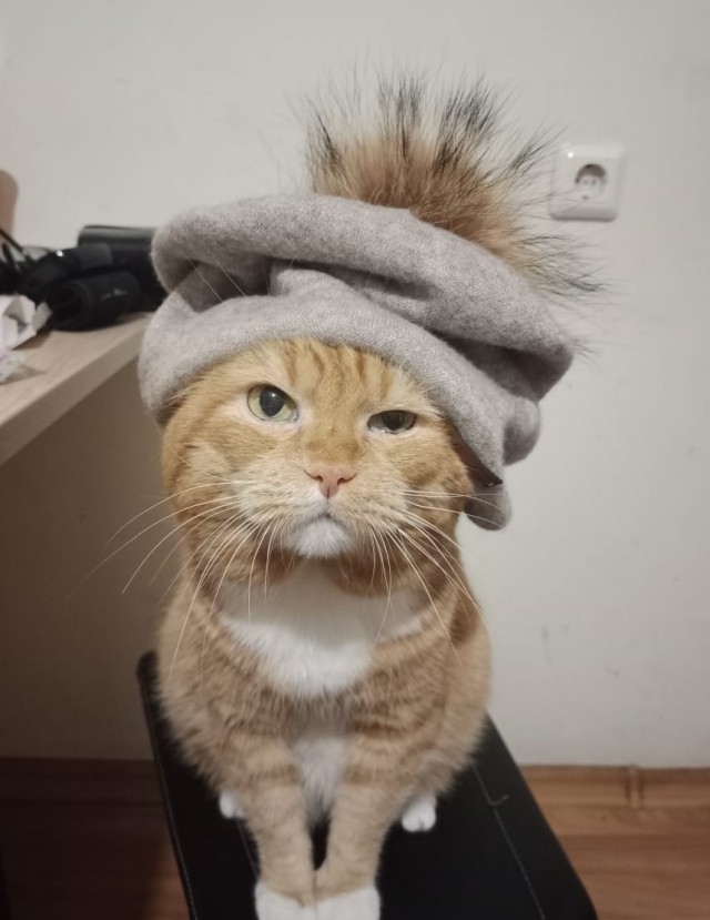 Рыжие гопники