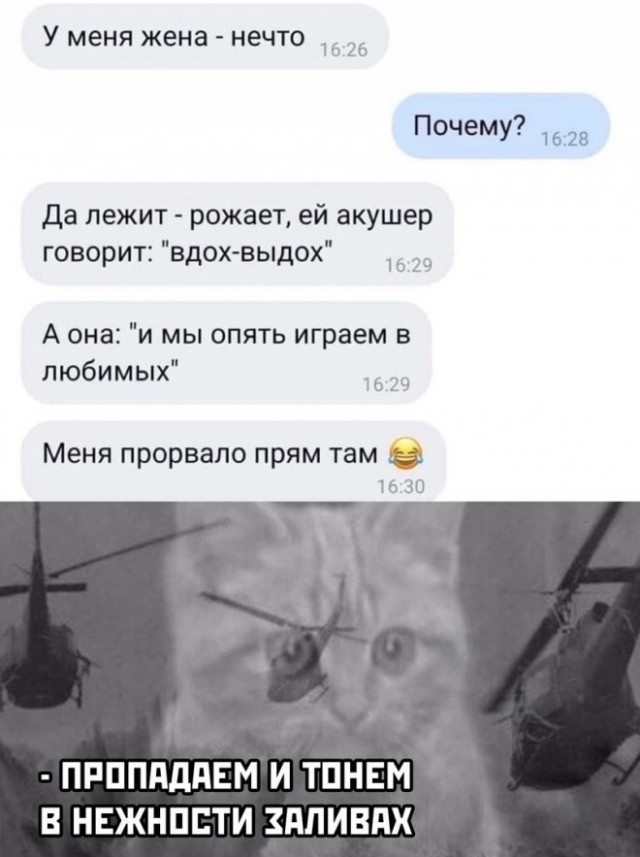 Веселые картинки в первый день зимы (01.12)
