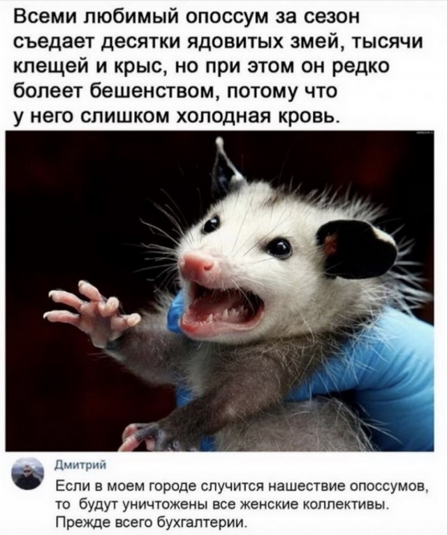 Вторника картинки