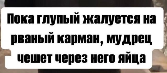 Картинки для деградации 198 (разной степени свежести)