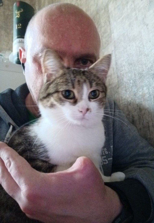 Котовторник снова!