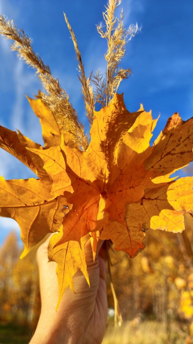 October