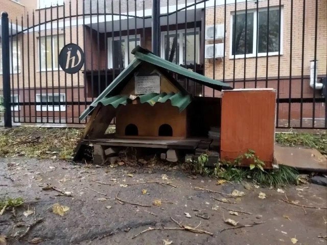 Пока кто-то проходит мимо, житель Королева строит дома для бездомных животных