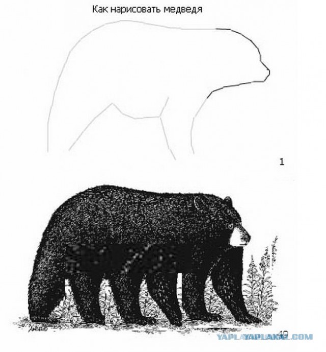 Мишкочетверг