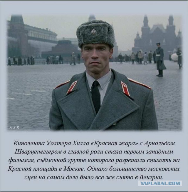 20 фактов обо всем
