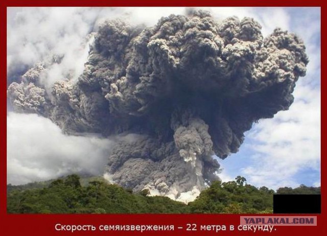 20 фактов обо всем