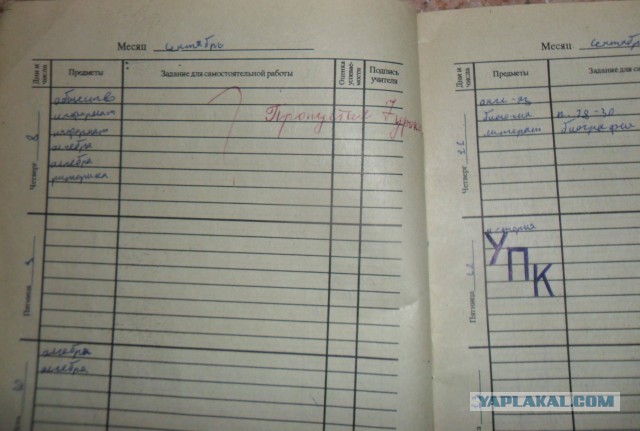 Мои школьные дневники 1-11 класс