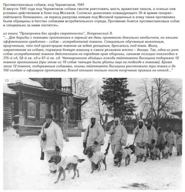 Подборка редких фотографий со всего мира. Часть 15