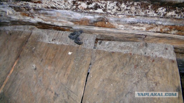 Осенние развлечения 6